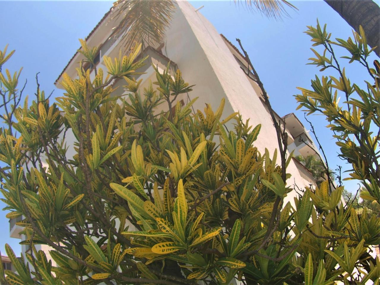 Suites Las Palmas Hotel Y Villas Manzanillo Kültér fotó