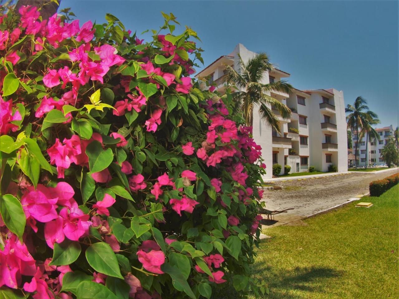 Suites Las Palmas Hotel Y Villas Manzanillo Kültér fotó